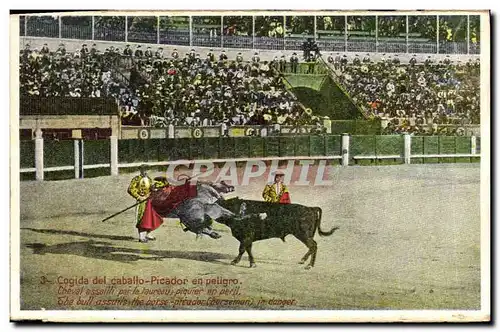 Ansichtskarte AK Corrida Course de taureaux Cogida del caballo