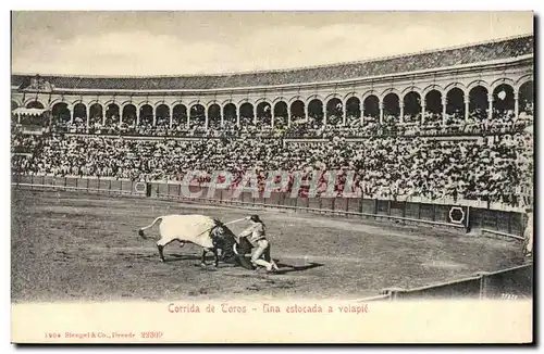 Cartes postales Corrida Course de taureaux Una estocada a volapie