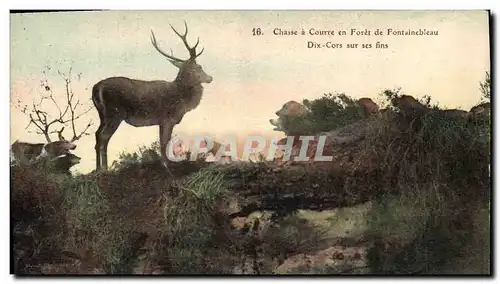 Ansichtskarte AK Chasse a courre en Foret de Fontainebleau Dix Cors sur ses fins Cerf