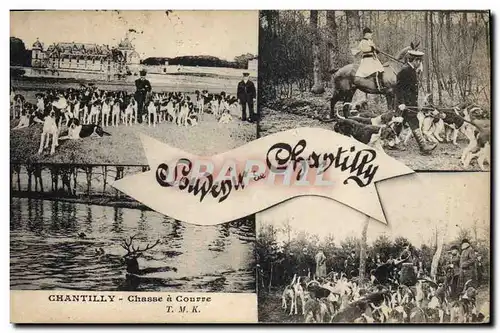 Cartes postales Chasse a courre Chantilly Chiens Chien