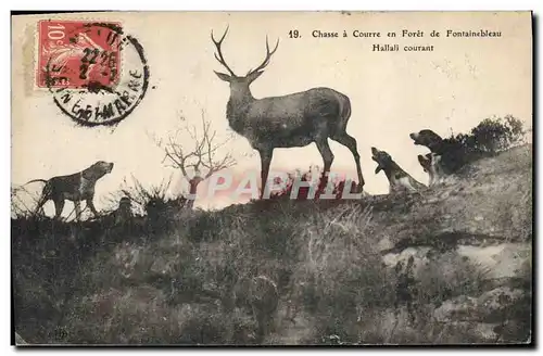 Ansichtskarte AK Chasse a courre en Foret de Fontainebleau Hallali courant Chiens Chien