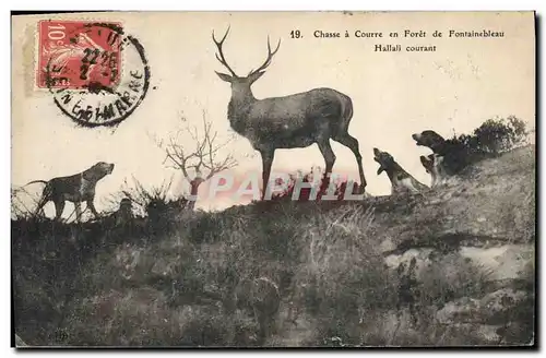 Cartes postales Chasse a courre en Foret de Fontainebleau Hallali courant Chiens Chien