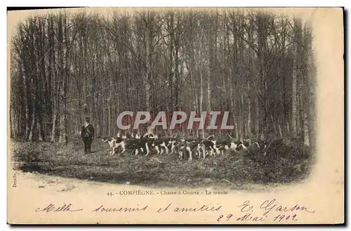 Cartes postales Chasse a courre La meute Compiegne Chiens Chien