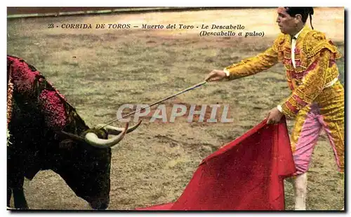 Cartes postales Corrida Course de taureaux Muerto del toro La descabello