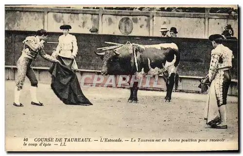 Cartes postales Corrida Course de taureaux L&#39estocade Le taureau est en bonne position pour recevoir le coup