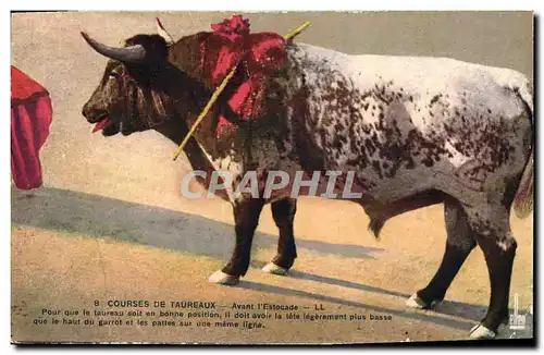 Cartes postales Corrida Course de taureaux Avant l&#39estocade