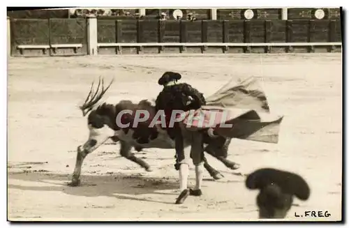 CARTE PHOTO Corrida Course de taureaux