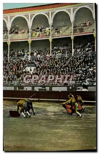 Cartes postales Corrida Course de taureaux Une cogida