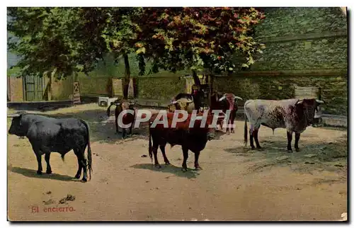 Cartes postales Corrida Course de taureaux En encierro