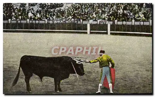Cartes postales Corrida Course de taureaux