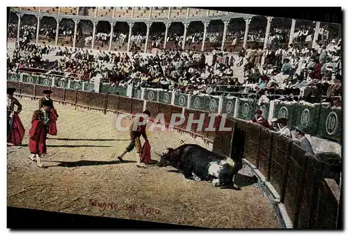 Cartes postales Corrida Course de taureaux Muerte del toro
