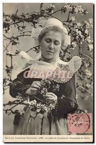 Cartes postales Folklore Le cidre de Fouesnant Pommiers en fleurs