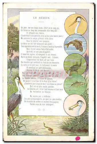 Cartes postales Fantaisie Illustrateur Le Heron Talon Le Gaulois