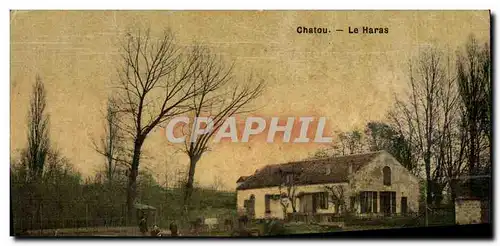 Ansichtskarte AK Cheval Chevaux Hippisme Chatou Le haras (carte toilee)