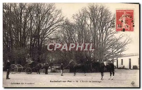 Ansichtskarte AK Cheval Chevaux Hippisme Rochefort sur Mer L&#39ecole de dressage