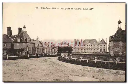 Cartes postales Cheval Chevaux Hippisme Le Haras du Pin Vue prise de l&#39avenue Louis XIV