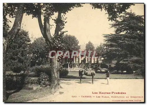 Cartes postales Cheval Chevaux Hippisme Tarbes Les haras Habitation de direction
