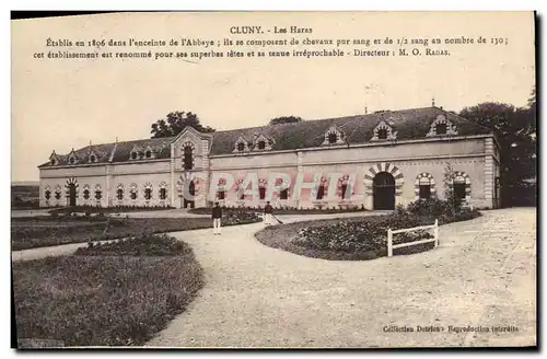 Cartes postales Cheval Chevaux Hippisme Cluny Les haras