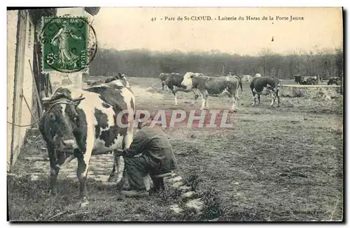 Ansichtskarte AK Cheval Chevaux Hippisme Parc de St Cloud Laiterie du haras de la Porte Jaune Vache TOP