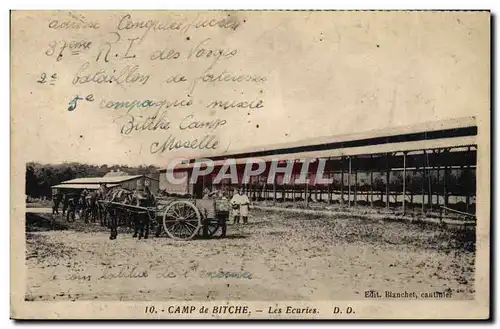 Cartes postales Cheval Chevaux Hippisme Camp de Bitche Les ecuries Militaria