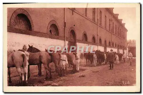 Ansichtskarte AK Cheval Chevaux Hippisme Toulouse 117eme d&#39artillerie Le pansage