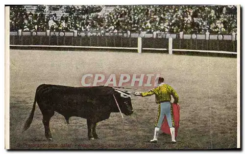 Cartes postales Corrida Course de taureaux