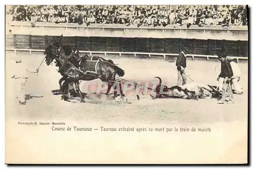 Cartes postales Corrida Course de taureaux Taureau entraine apres sa mort par le train de mulets