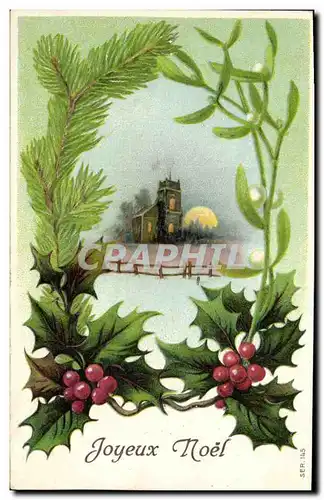 Cartes postales Fantaisie Fleurs Joyeux Noel