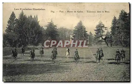 Cartes postales Cheval Equitation Hippisme Pau Haras de Gelos Exercices dans le parc