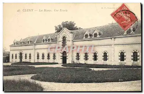 Cartes postales Cheval Equitation Hippisme Cluny Les haras Une ecurie