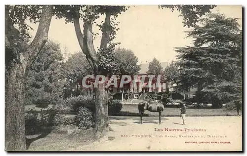 Cartes postales Cheval Equitation Hippisme Hautes Pyrenees Tarbes Les haras Habitation du directeur