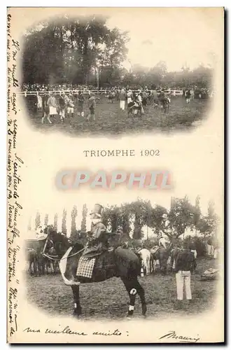 Cartes postales Cheval Equitation Hippisme Triomphe 1902 TOP