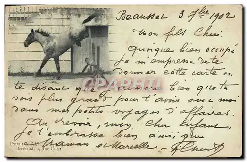 Cartes postales Cheval Equitation Hippisme