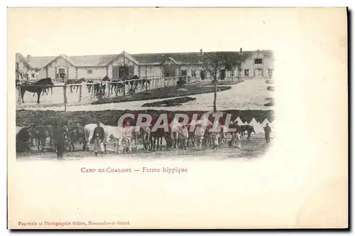 Cartes postales Cheval Equitation Hippisme Camp de Chalons Ferme hippique