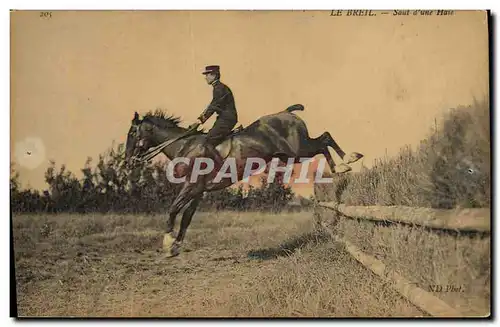 Ansichtskarte AK Cheval Equitation Hippisme