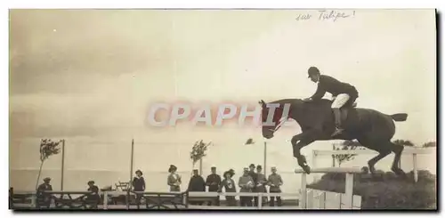 CARTE PHOTO Cheval Equitation Hippisme Militaria