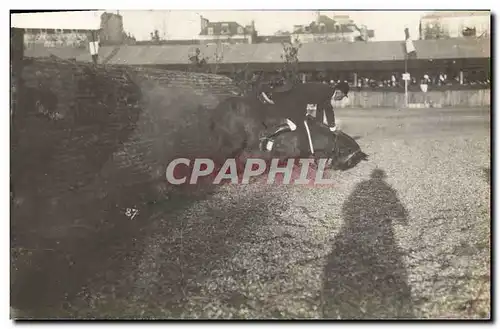 CARTE PHOTO Cheval Equitation Hippisme