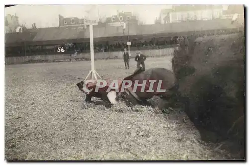 CARTE PHOTO Cheval Equitation Hippisme