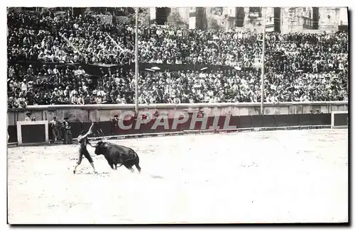 CARTE PHOTO Corrida Course de taureaux