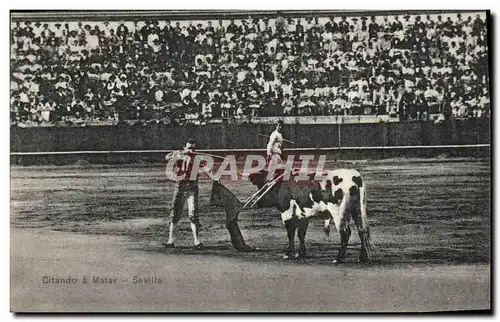 Ansichtskarte AK Corrida Course de taureaux Citando a matar Sevilla