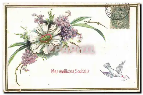 Cartes postales Fantaisie Fleurs Colombe