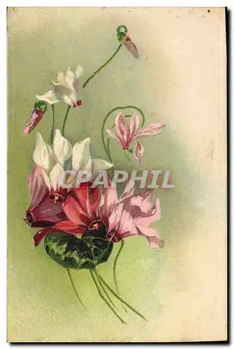 Cartes postales Fantaisie Fleurs