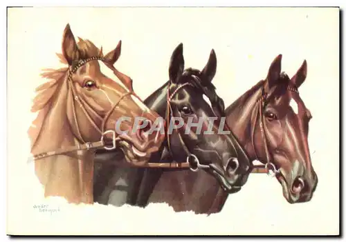 Cartes postales Hippisme Equitation