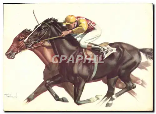 Cartes postales Hippisme Equitation