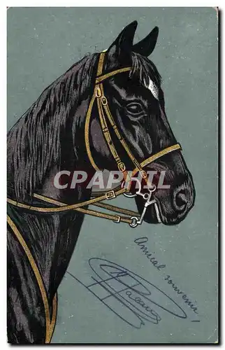 Cartes postales Hippisme Equitation