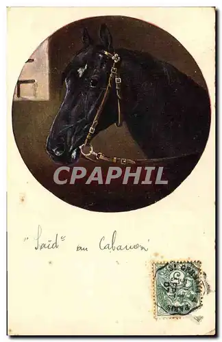 Cartes postales Hippisme Equitation