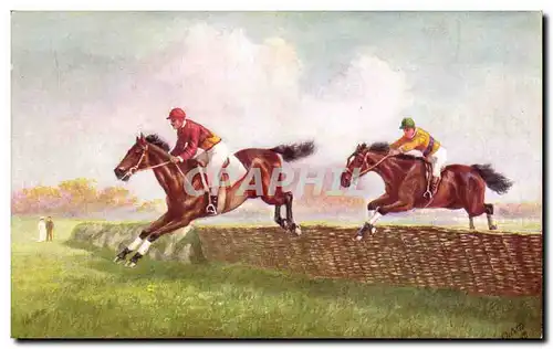 Cartes postales Hippisme Equitation