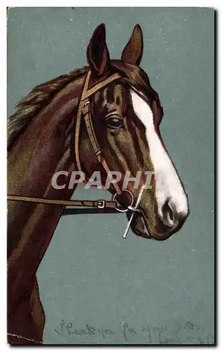 Ansichtskarte AK Hippisme Equitation