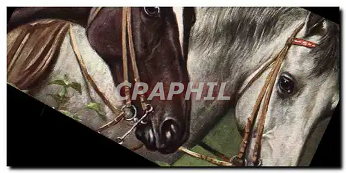 Cartes postales Hippisme Equitation