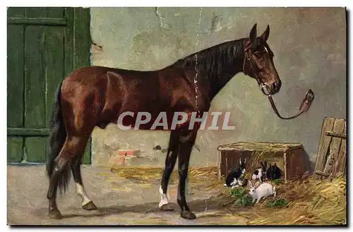 Cartes postales Hippisme Equitation Cheval Lapins